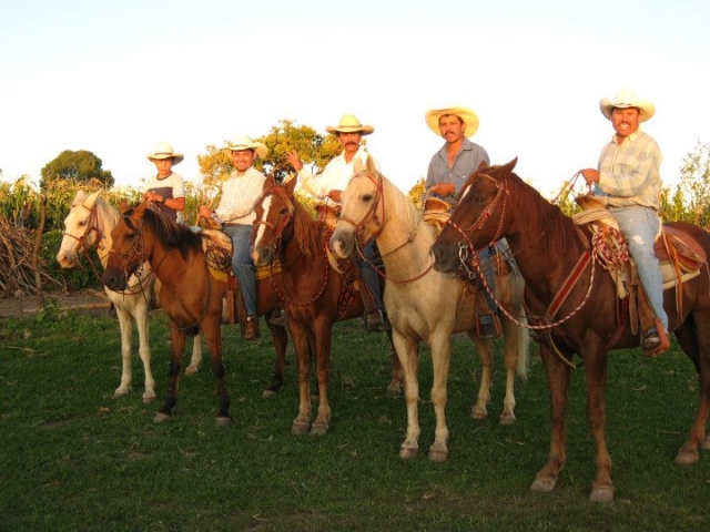 Rutas a caballo guiadas